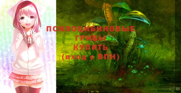 apvp Осташков