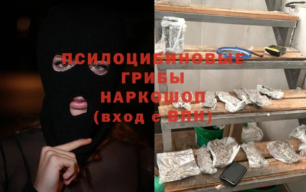 apvp Осташков