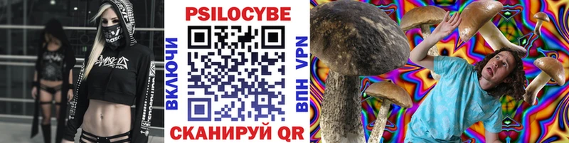 Галлюциногенные грибы Magic Shrooms  как найти   Минусинск 