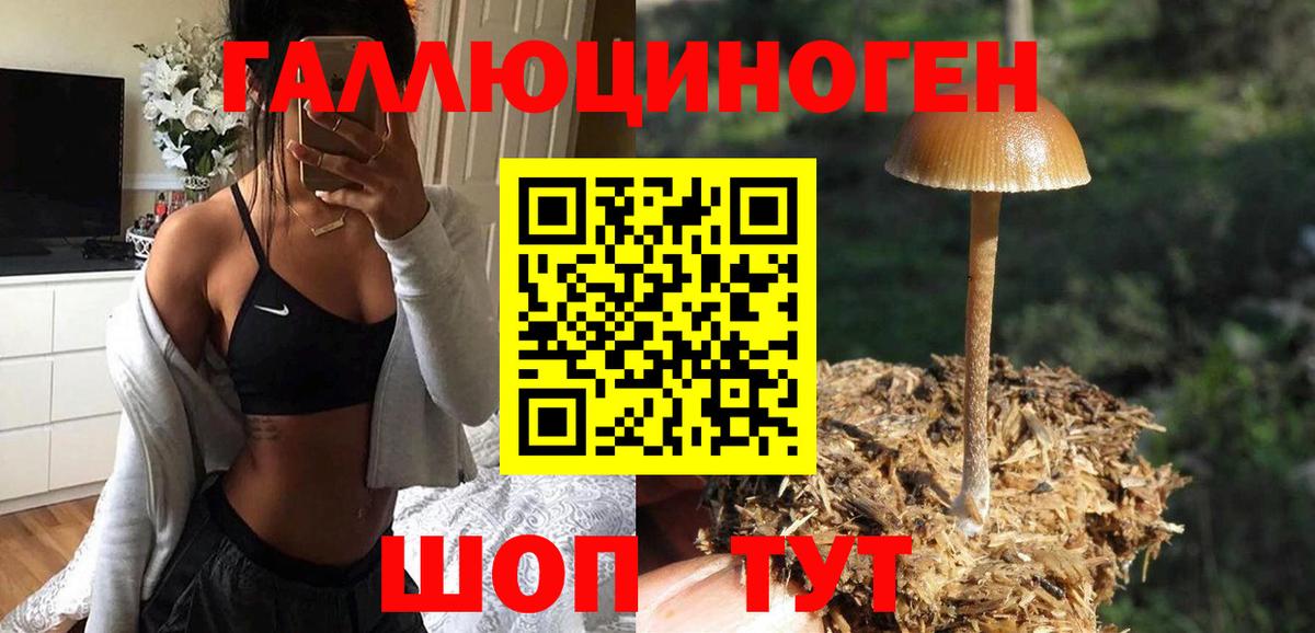 Галлюциногенные грибы прущие грибы Минусинск