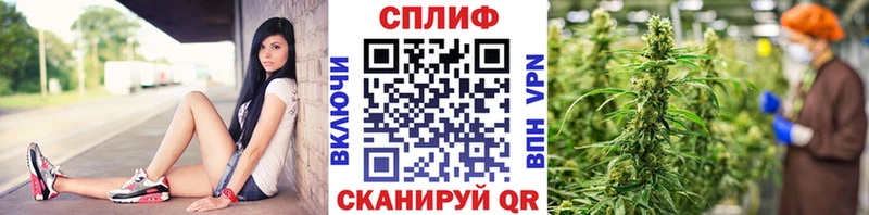 закладки  Минусинск  Канабис гибрид 